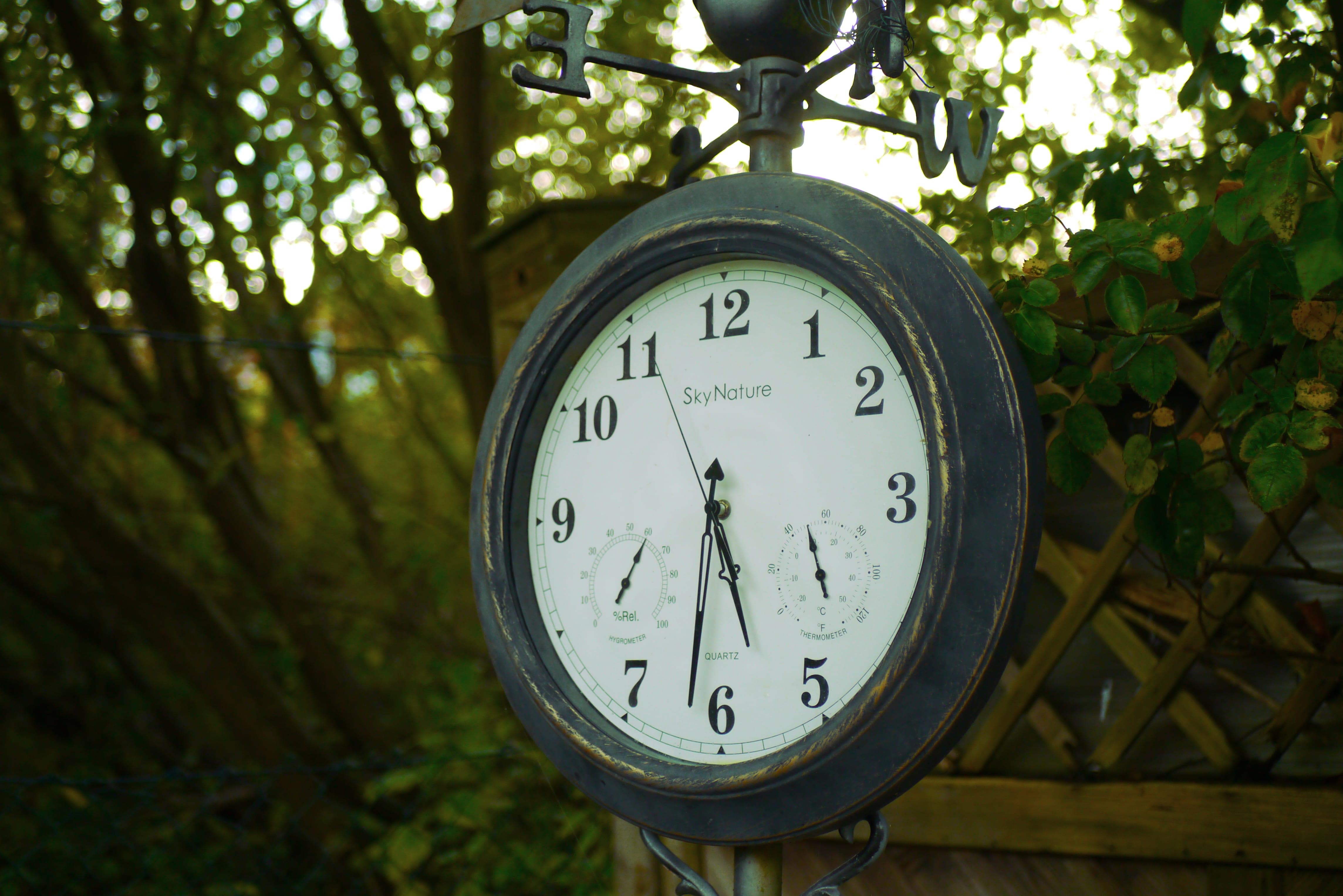 Eine nostalgische Uhr hängt vor einem Hintergrund aus Blättern und Ästen.